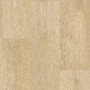 Dub jasný