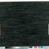 Black buzz (černý šum) 8177241