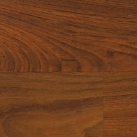 Brazilská Třešeň - D432