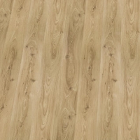 Jilm Kanadský - D738